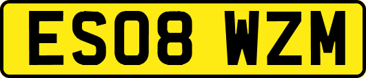 ES08WZM
