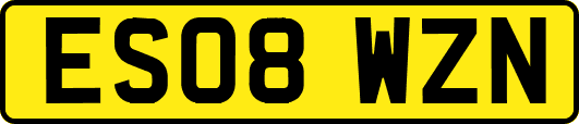 ES08WZN