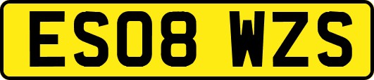 ES08WZS