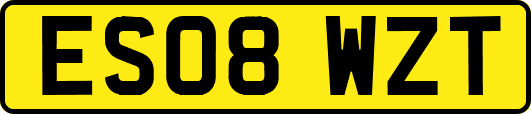 ES08WZT