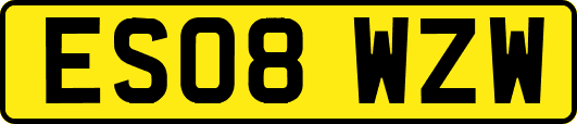 ES08WZW