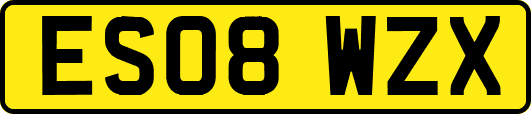 ES08WZX