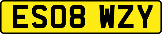 ES08WZY