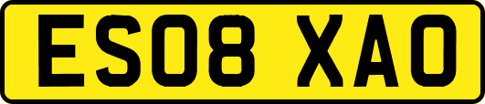 ES08XAO