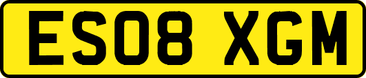 ES08XGM