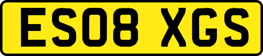 ES08XGS