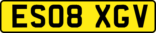 ES08XGV