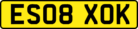 ES08XOK