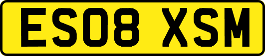 ES08XSM