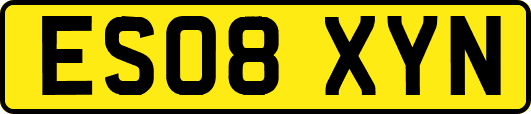 ES08XYN