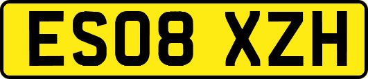 ES08XZH