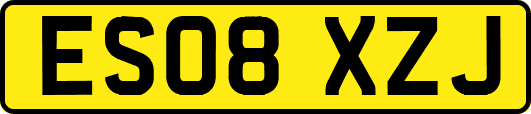 ES08XZJ