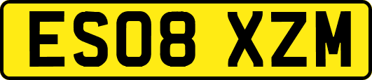 ES08XZM