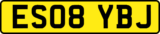 ES08YBJ
