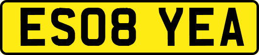 ES08YEA