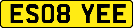 ES08YEE