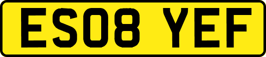 ES08YEF