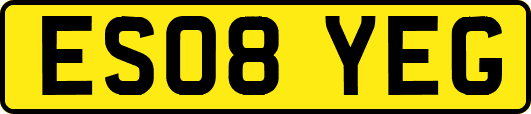 ES08YEG