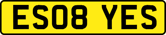 ES08YES