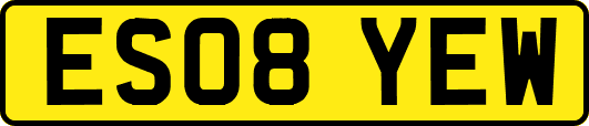 ES08YEW