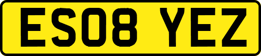 ES08YEZ