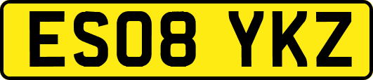 ES08YKZ