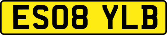 ES08YLB