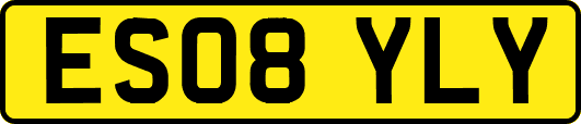 ES08YLY