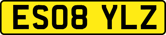 ES08YLZ