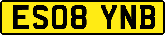 ES08YNB