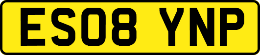 ES08YNP