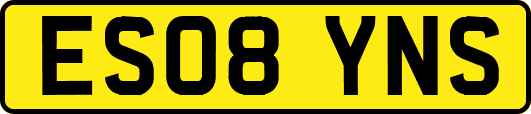 ES08YNS