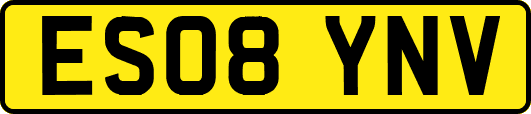 ES08YNV