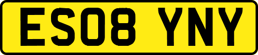 ES08YNY