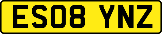 ES08YNZ