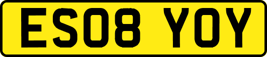 ES08YOY
