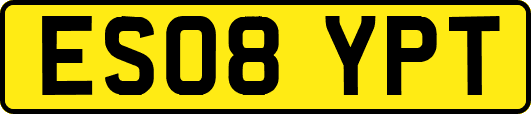 ES08YPT