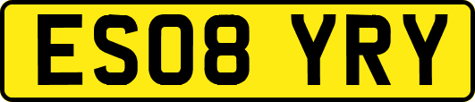 ES08YRY