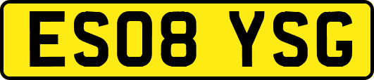 ES08YSG