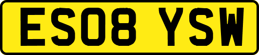 ES08YSW