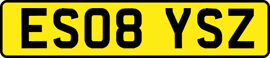 ES08YSZ