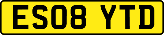 ES08YTD