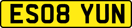 ES08YUN