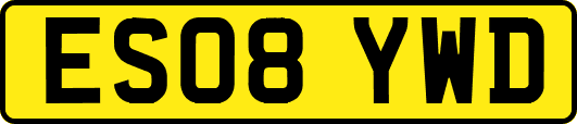 ES08YWD