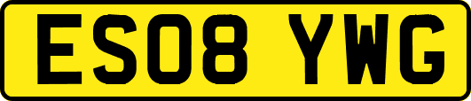 ES08YWG