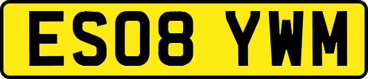 ES08YWM