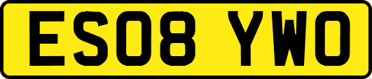 ES08YWO