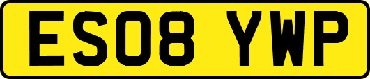 ES08YWP