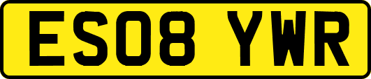 ES08YWR