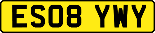 ES08YWY